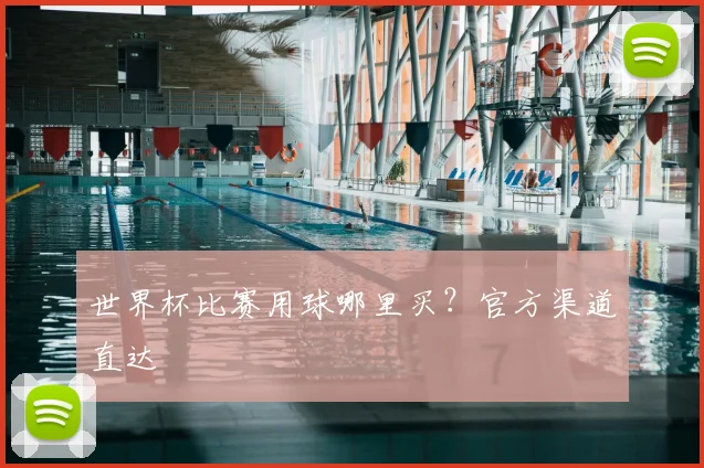 世界杯比赛用球哪里买?官方渠道直达