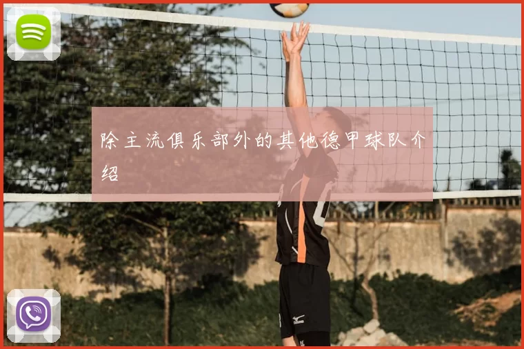 除主流俱乐部外的其他德甲球队介绍