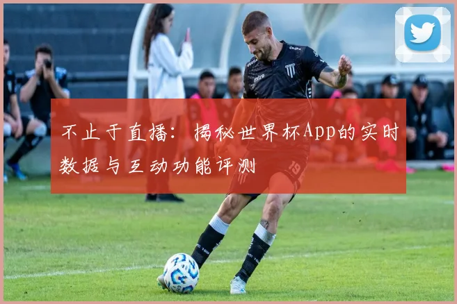 不止于直播：揭秘世界杯App的实时数据与互动功能评测