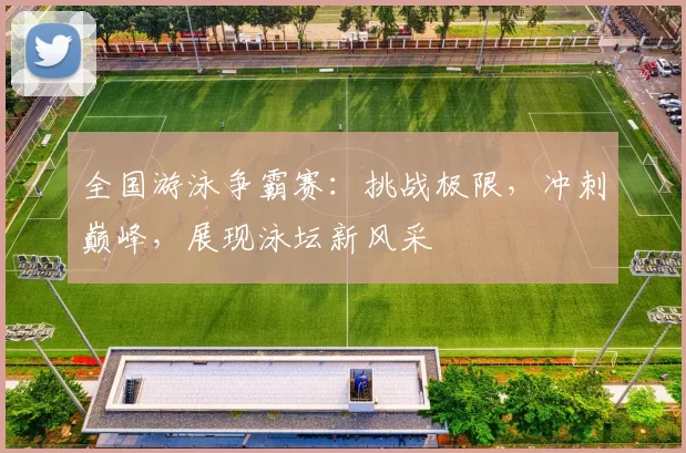 全国游泳争霸赛：挑战极限，冲刺巅峰，展现泳坛新风采