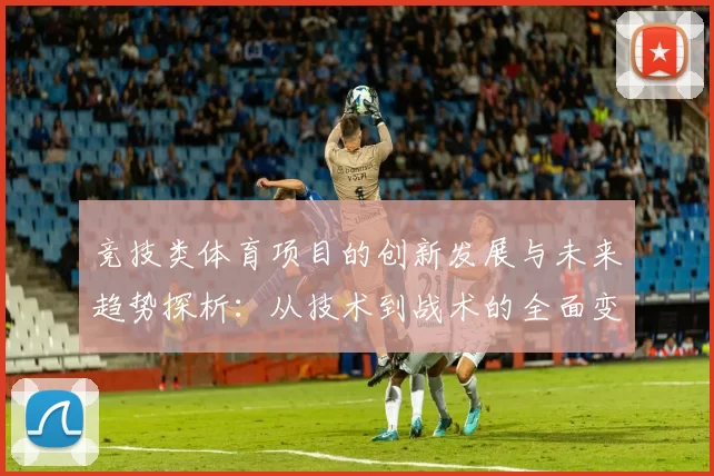 竞技类体育项目的创新发展与未来趋势探析：从技术到战术的全面变革