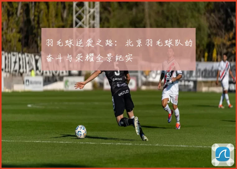 羽毛球逆袭之路：北京羽毛球队的奋斗与荣耀全景纪实