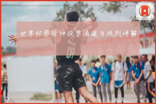 世界杯蔡徐坤投票通道与规则详解