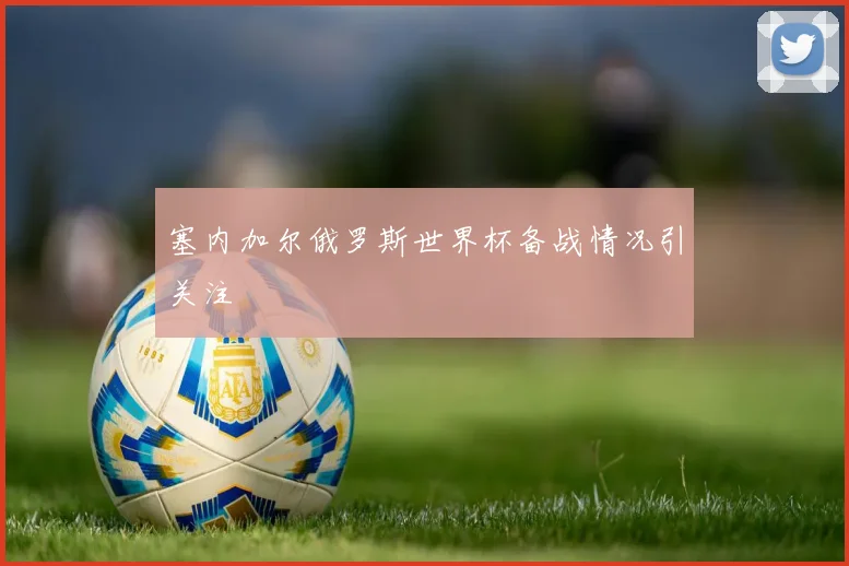 塞内加尔俄罗斯世界杯备战情况引关注