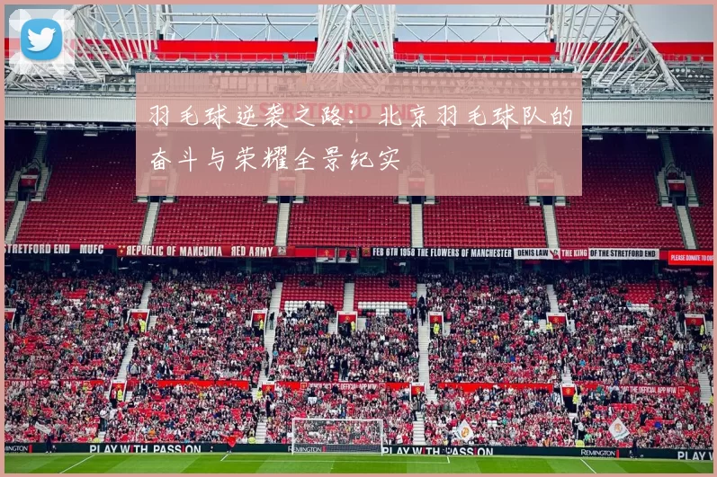 羽毛球逆袭之路：北京羽毛球队的奋斗与荣耀全景纪实