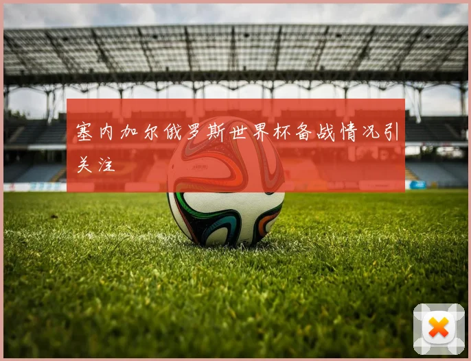 塞内加尔俄罗斯世界杯备战情况引关注