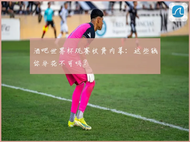 酒吧世界杯观赛收费内幕:这些钱你非花不可吗?