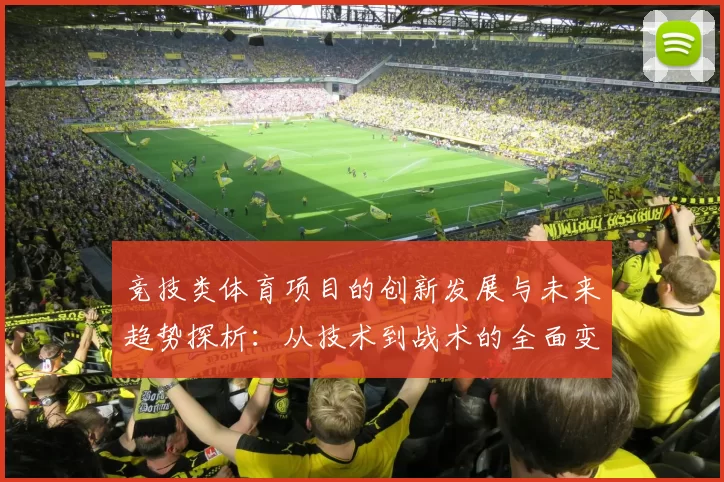 竞技类体育项目的创新发展与未来趋势探析：从技术到战术的全面变革