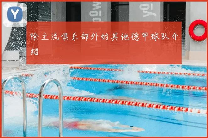 除主流俱乐部外的其他德甲球队介绍